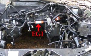 EGI-harness